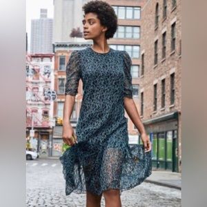 See by Chloe gorgeous lace overlay form fitting with a flare